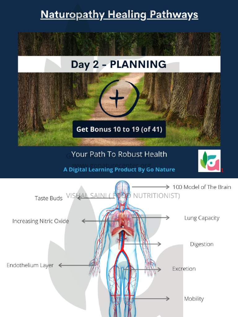 Day 2 Training Planning | PDF | Turmeric | Water