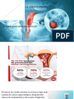 Prevencion Cancer Cervico-Uterino