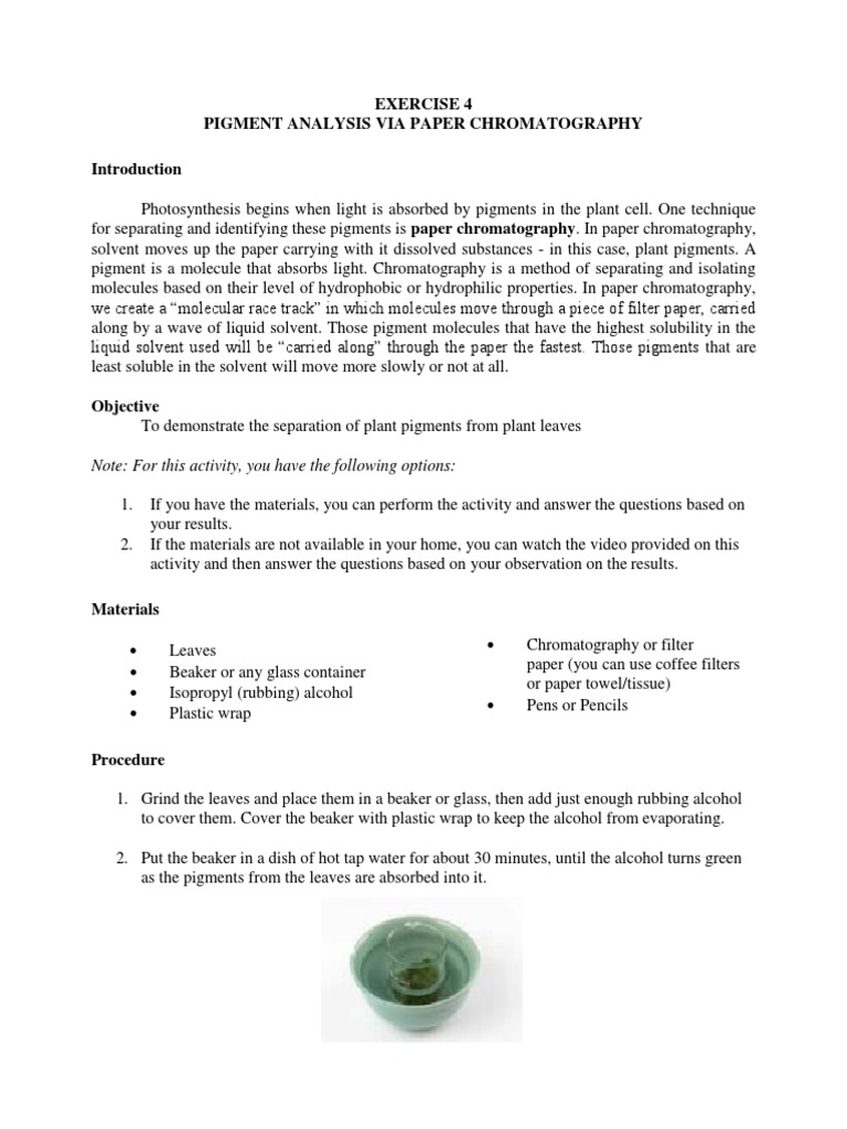 Chromatography Revealed The Ultimate Pigment Matching Guide - nopqu8g