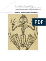 Laboratory Exercise No. 1 - The Skeleton of The Frog
