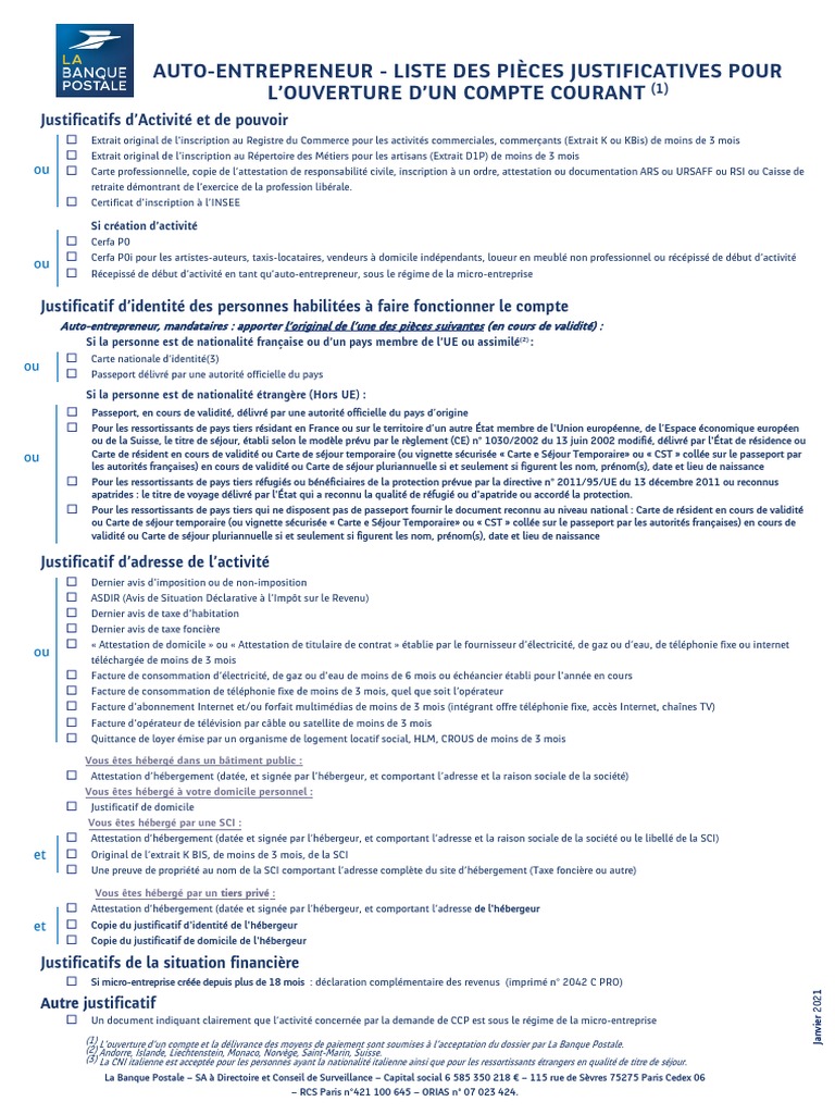 Ultrasac Sacs d'entrepreneur robustes (valeur 50 paquets/w