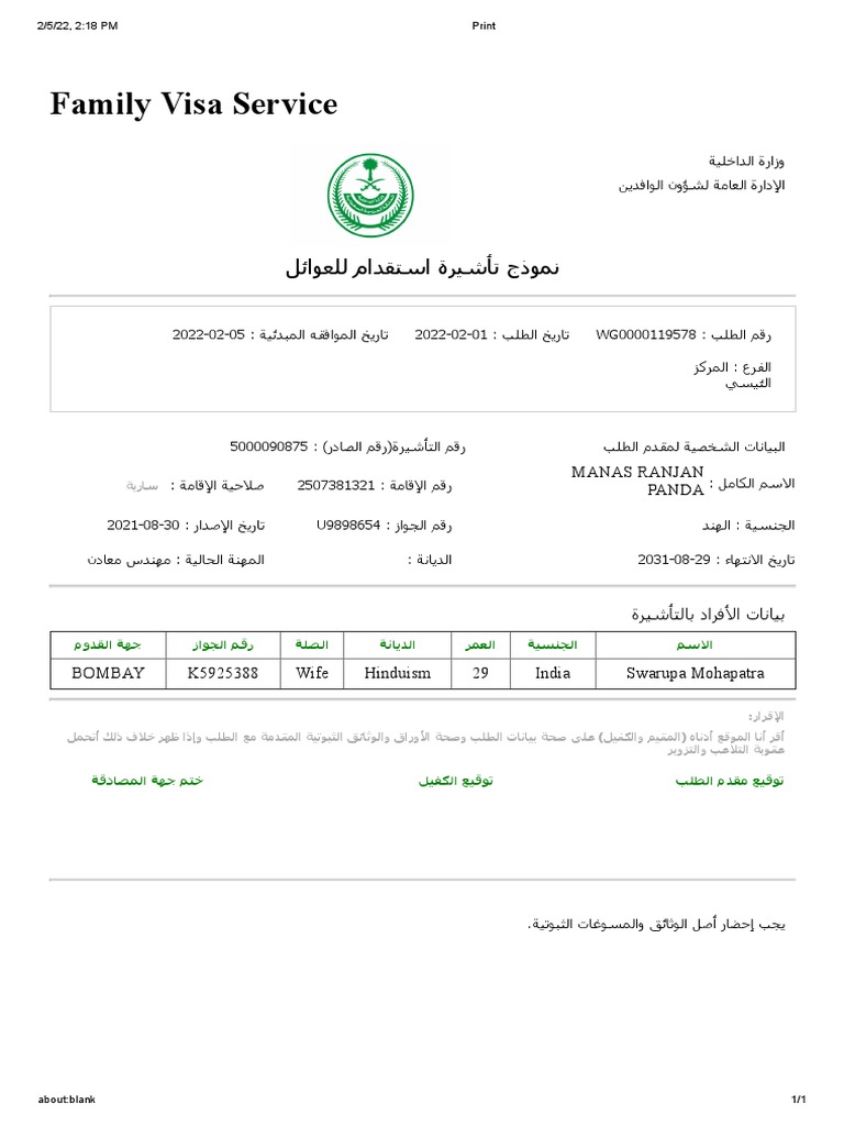 Visa 2 Print | PDF