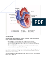 Assignment PCOL 2