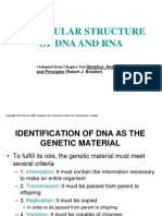 LSM1102 - Lect 5 - Stucture of DNA & RNA