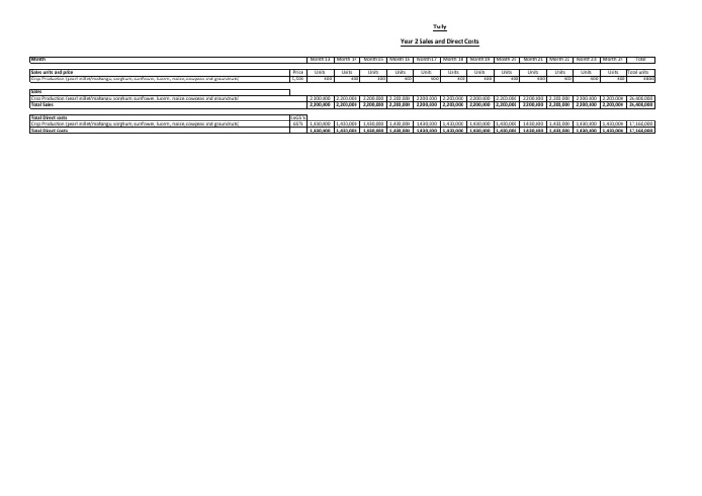 Tully Year 2 Sales and Direct Costs PDF