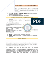 Guion Gamma Herpes Virus