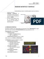 TEMA 3 - Sindrome Nefrotico y Nefritico