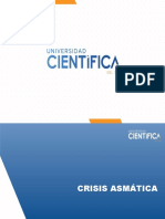 Crisis Asmática