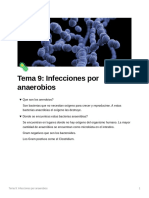 Tema 9 Infecciones Por Anaerobios
