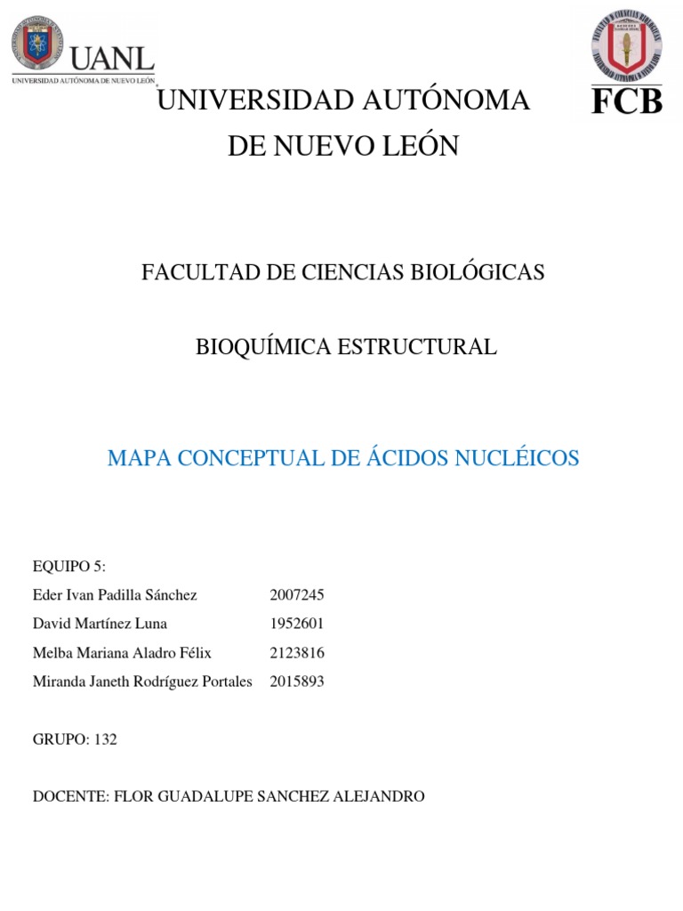 mapa conceptual de cidos nucleicos
