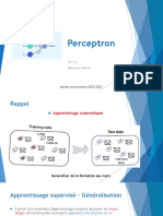 C4_Perceptron