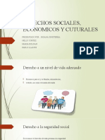 Derechos Sociales, Economicos y Cuturales