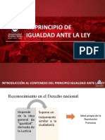 Igualdad Ante La Ley (Magister)