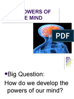 Brain PP 5