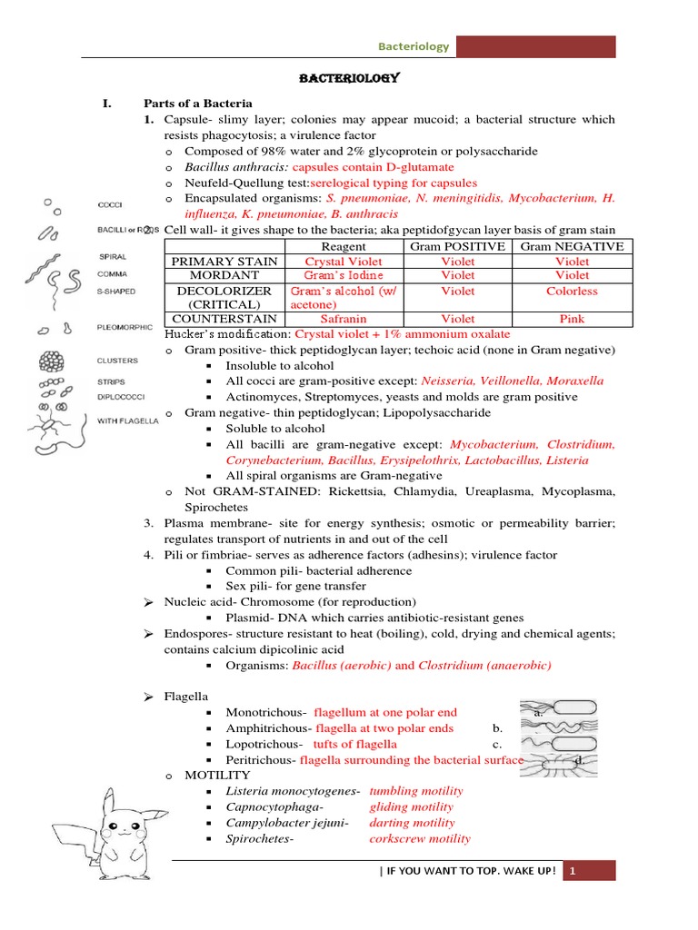 Bacteriology 1 | PDF | Sterilization (Microbiology) | Staining