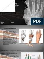 Anatomia Mão e Punho Tutor Denis 2