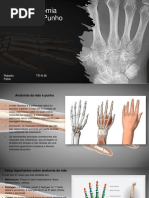 aula-6-ossos-m-sculos-inerva-o-e-vasculariza-o-do-punho-e-m-o-pdf