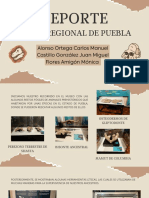 Reporte Museo Regional de Puebla