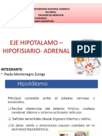 Eje Hipotalamo Hipofisiario