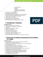 Consejo Iberoamericano - Seguridad y Salud en El Trabajo