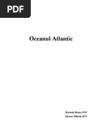Download Oceanul Atlantic by Bianca Pop SN61864929 doc pdf