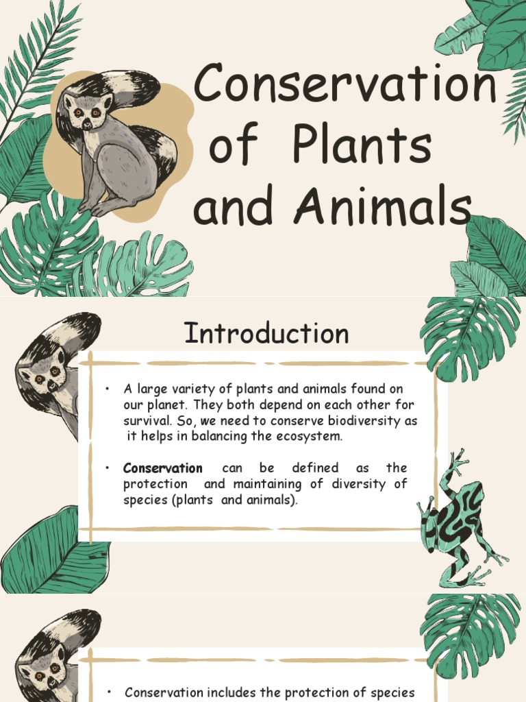 Conservation of Plants and Animals | PDF | Deforestation | Conservation ...