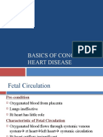 CHD Fetal Circulation