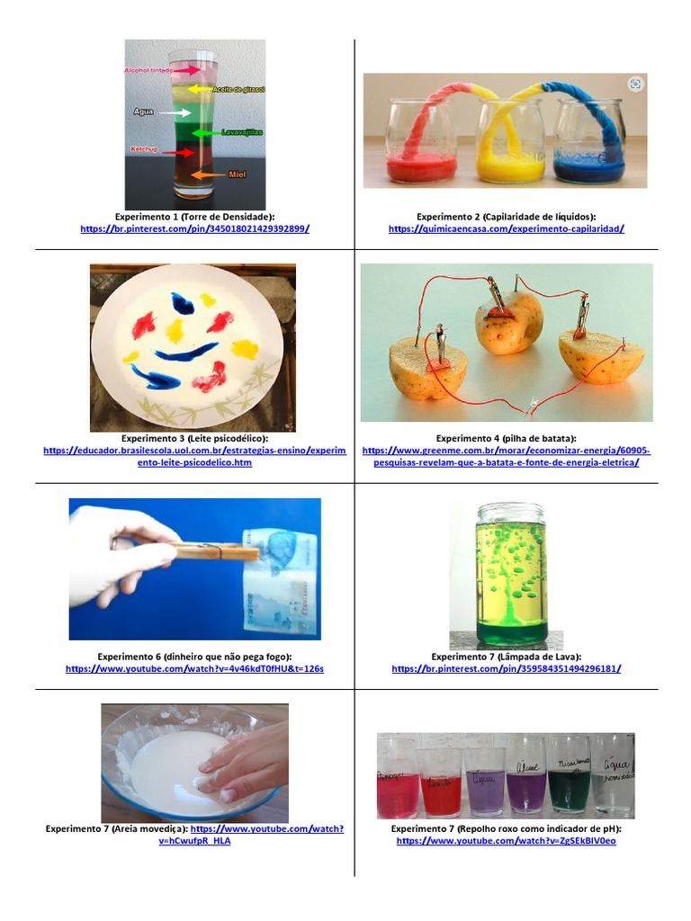 Coleção de experimentos científicos simples para diferentes áreas do ...