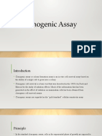 Clonogenic Assay