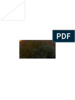 E PDF