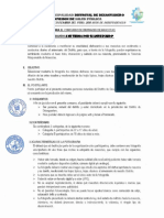 BASES PARA EL CONCURSO DE DISFRACES DE MASCOTAS.pdf