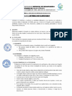 Bases para El Concurso de Disfraces de Mascotas PDF