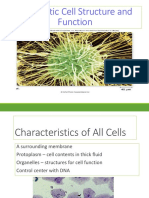 Eukaryotic Cell Structure and Function