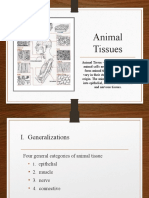 Animal Tissues Niket