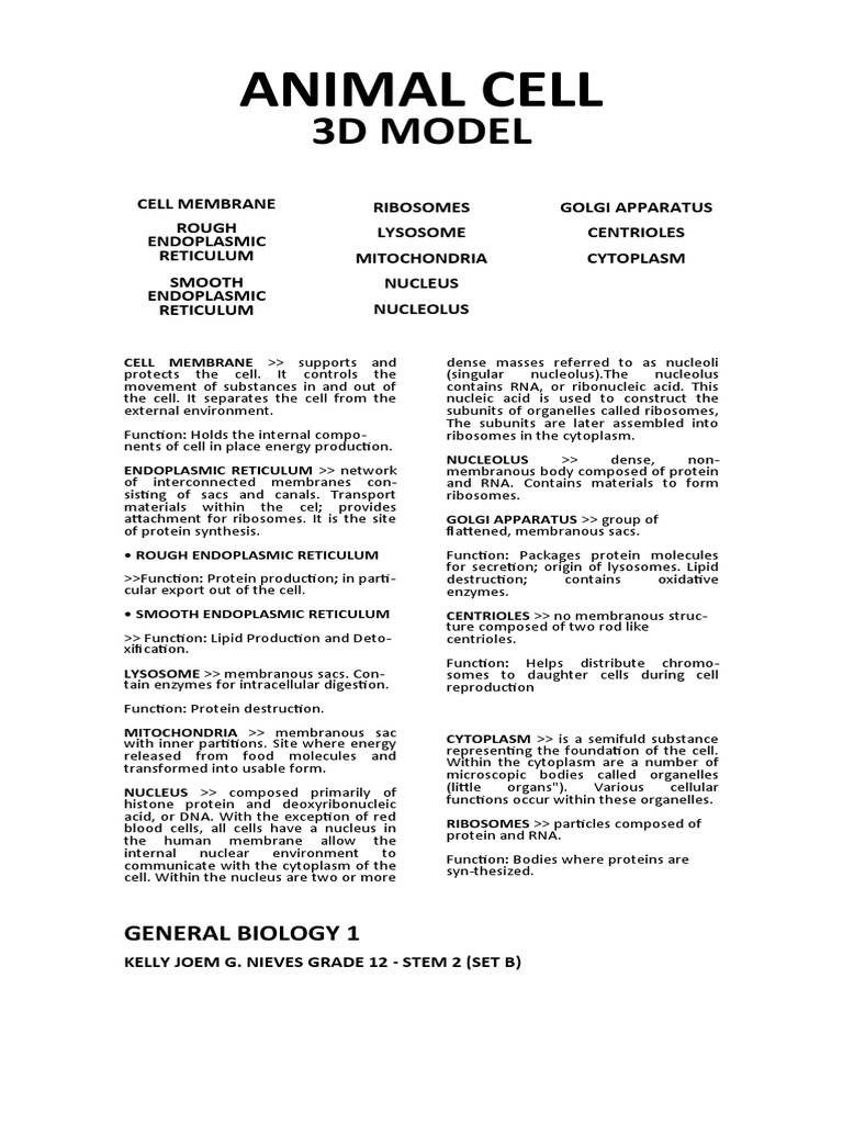 ANIMAL CELL-WPS Office | PDF | Cell (Biology) | Endoplasmic Reticulum