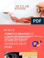 Muscular System Part One