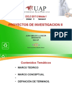 Proyectos de investigación: Marco teórico y conceptual