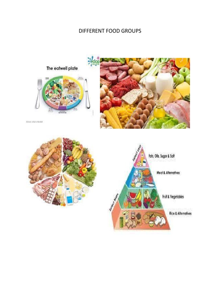 Different Food Groups | PDF