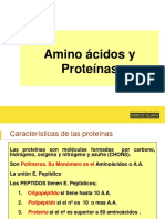 Aminoácidos y proteínas: estructura, formación y funciones