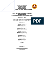 Dengue Hemorrhagic Fever - g2 Final Case Study