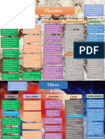 Mapa Placenta y Anexos.