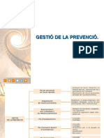 Power Gestió de La Prevenció