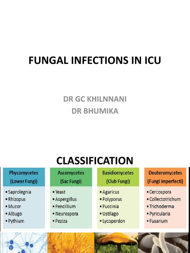 Fungal Infections in ICU: Diagnosis & Epidemiology | PDF | Clinical ...