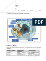 Tarea para APB01