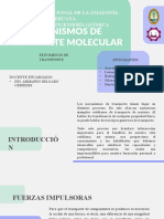 Mecanismos de TRSNP - Fenómenos