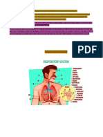 Trabajo Del Istema Respiratorio