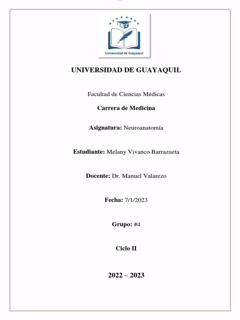 Resumen Semana 6 Pdf M Dula Espinal Neuroanatom A