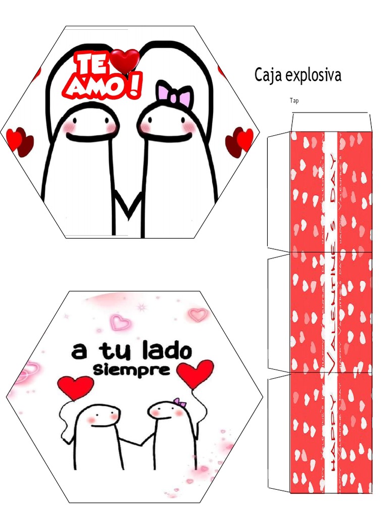 Regalo sencillo  Caja explosiva de FLORK 