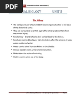 Edexcel A Level Biology Topic Checklist | PDF | Biology | Cell (Biology)