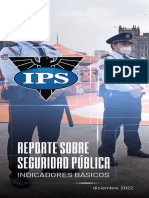 Reporte Seguridad Publica IPS